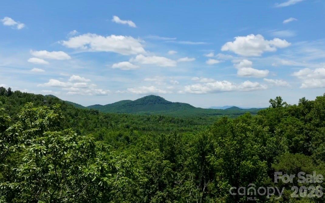 Build your dream home in the beautiful, gated community of Grandview Peaks! This 4.24-acre homesite already has much of the groundwork started, featuring a rough driveway for easy access and a valid 3-bedroom septic permit, helping you get one step closer to building. Enjoy the privacy and natural beauty of the mountains while taking advantage of Grandview Peaks' outstanding amenities, including a private lake, scenic hiking trails, a community gathering area that's perfect for cookouts and family events.

Conveniently located just 20 minutes from Lake James, 45 minutes from Asheville, and approximately 90 minutes from Charlotte, this property offers the perfect balance of mountain seclusion and accessibility. Whether you're looking to build a full-time residence, vacation getaway, or investment property, this lot provides endless potential in one of Western North Carolina's most sought-after mountain communities. Don't miss your chance to own a slice of mountain paradise!