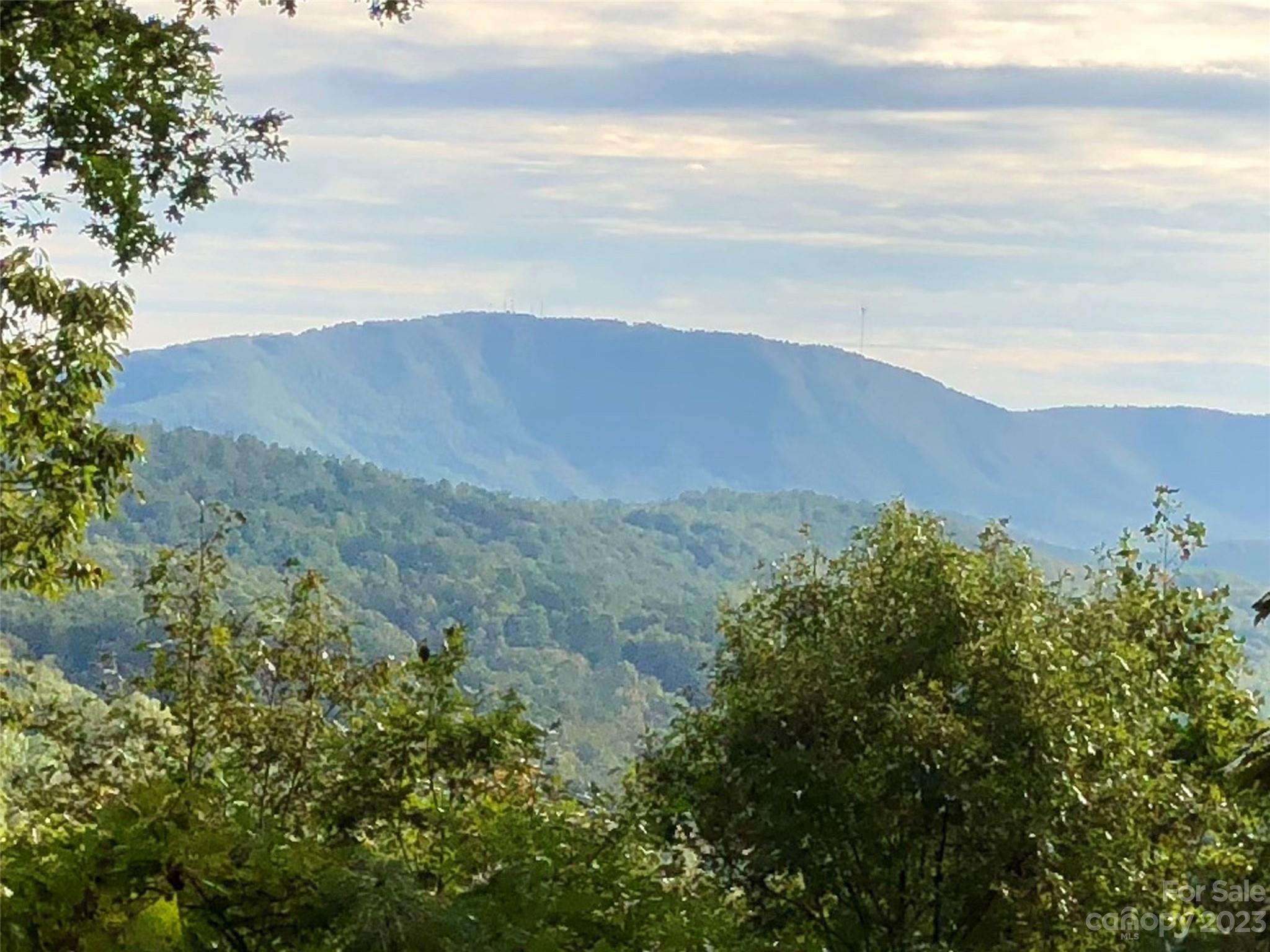 This is one of the few remaining view lots in Champion Hills and has outstanding mountain views to the south.  The lot provides for a walkout lower level and is located close to the clubhouse and all the amenities.  Champion Hills is located just 8 minutes to downtown Hendersonville and all that it offers.  Great restaurants, breweries, entertainment, several grocery stores, good medical care and more. Come see what makes us special!