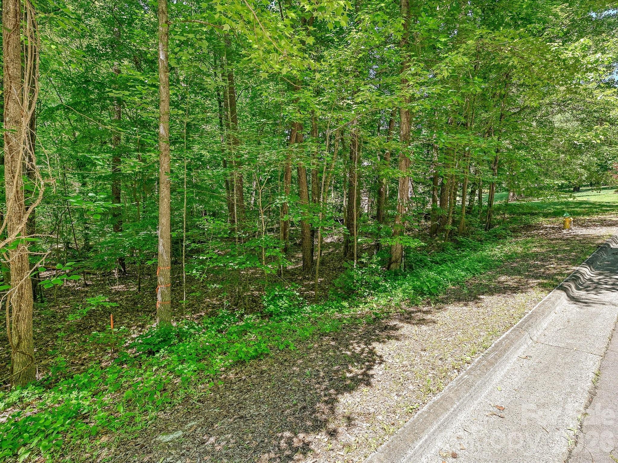 The Preserve at Cold Water Creek - Land