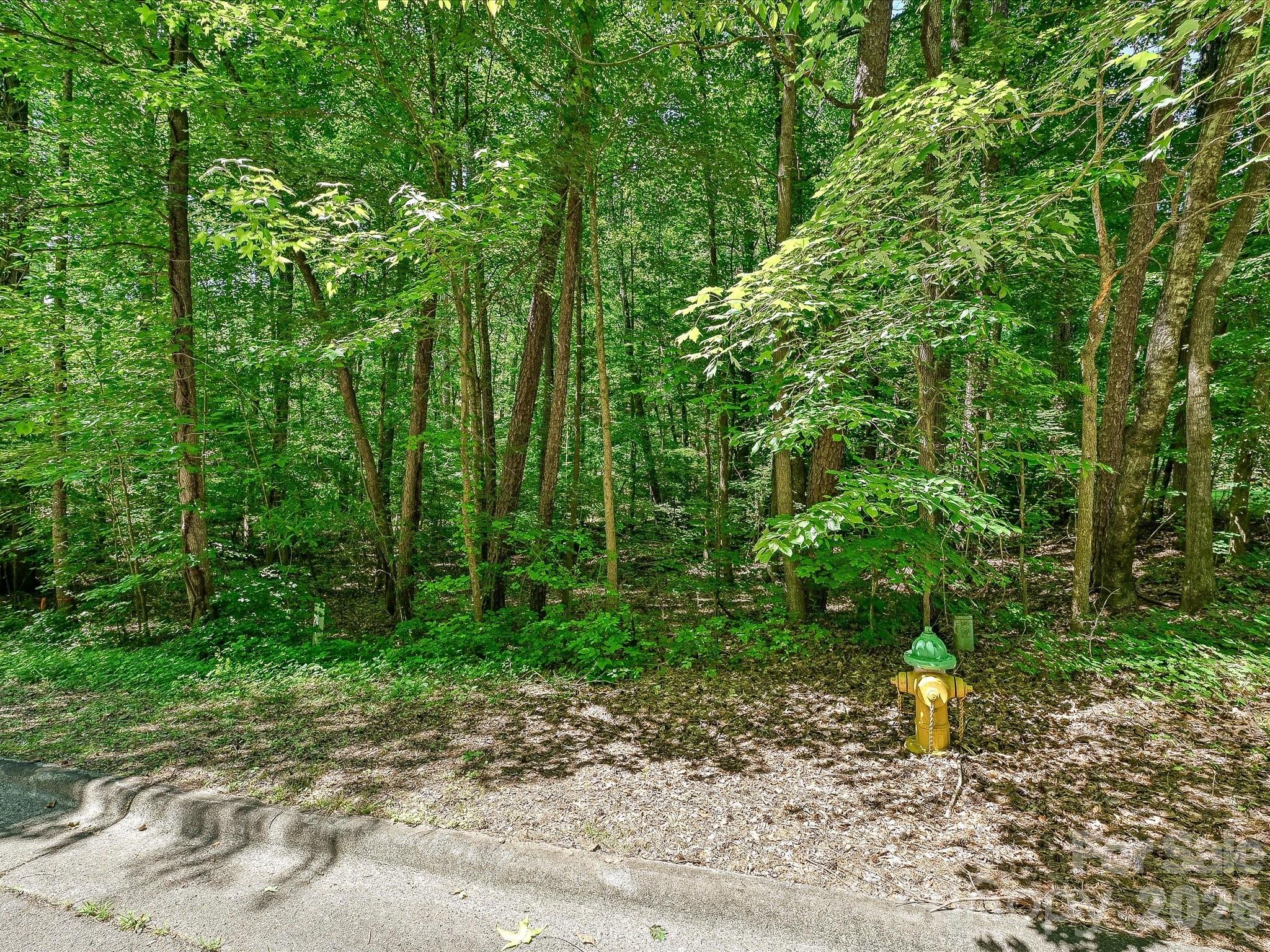 The Preserve at Cold Water Creek - Land