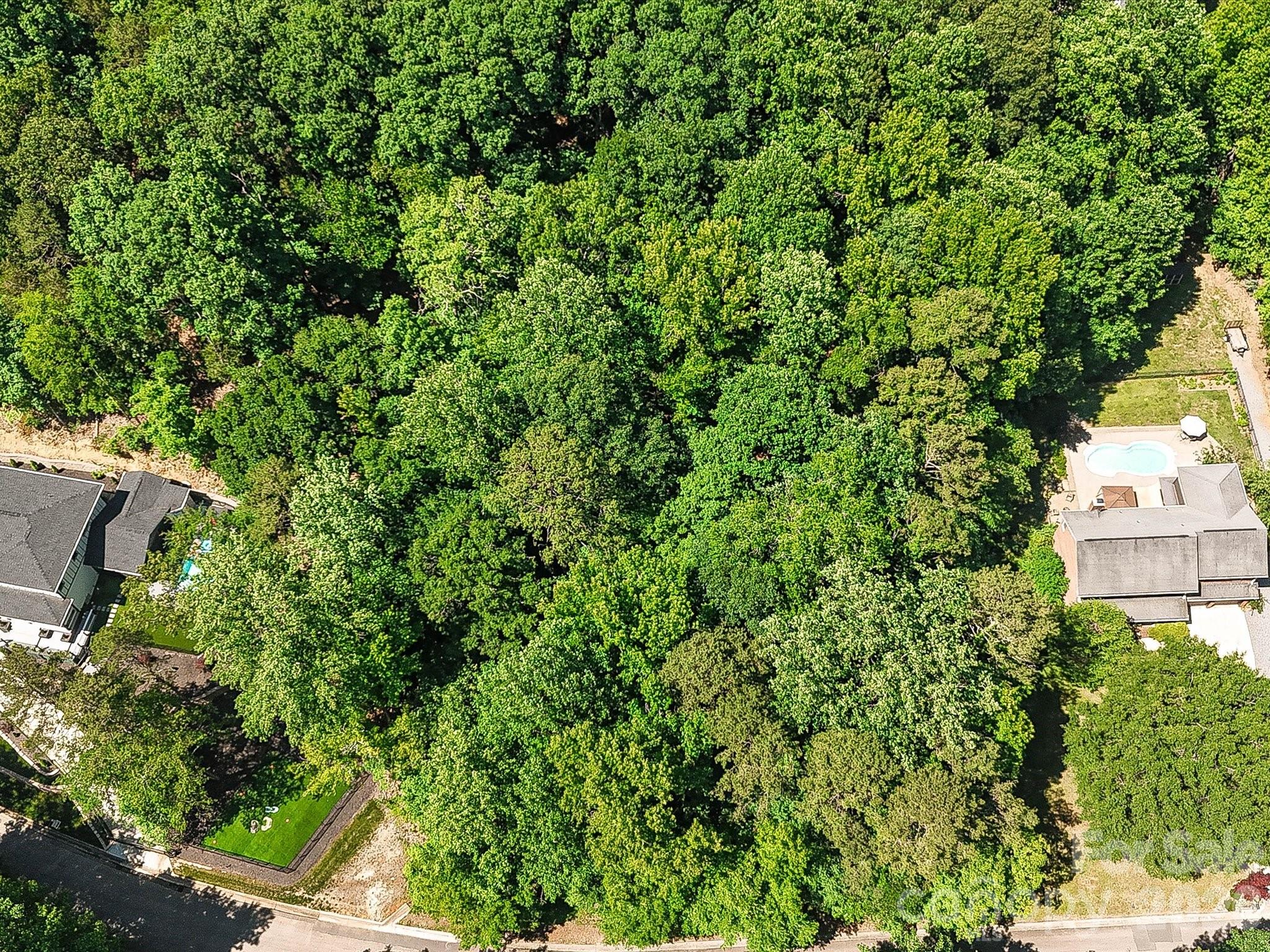 The Preserve at Cold Water Creek - Land