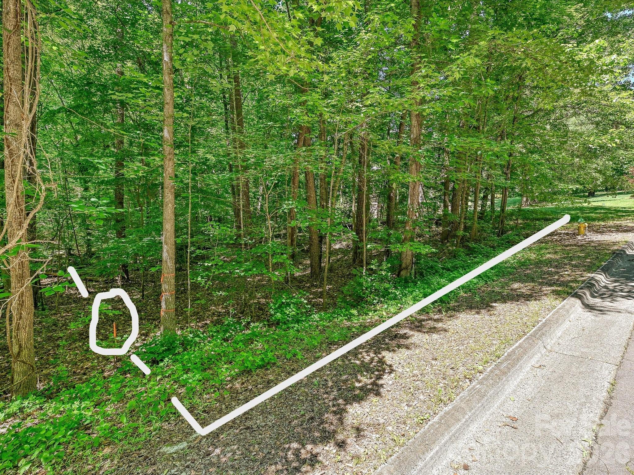 The Preserve at Cold Water Creek - Land