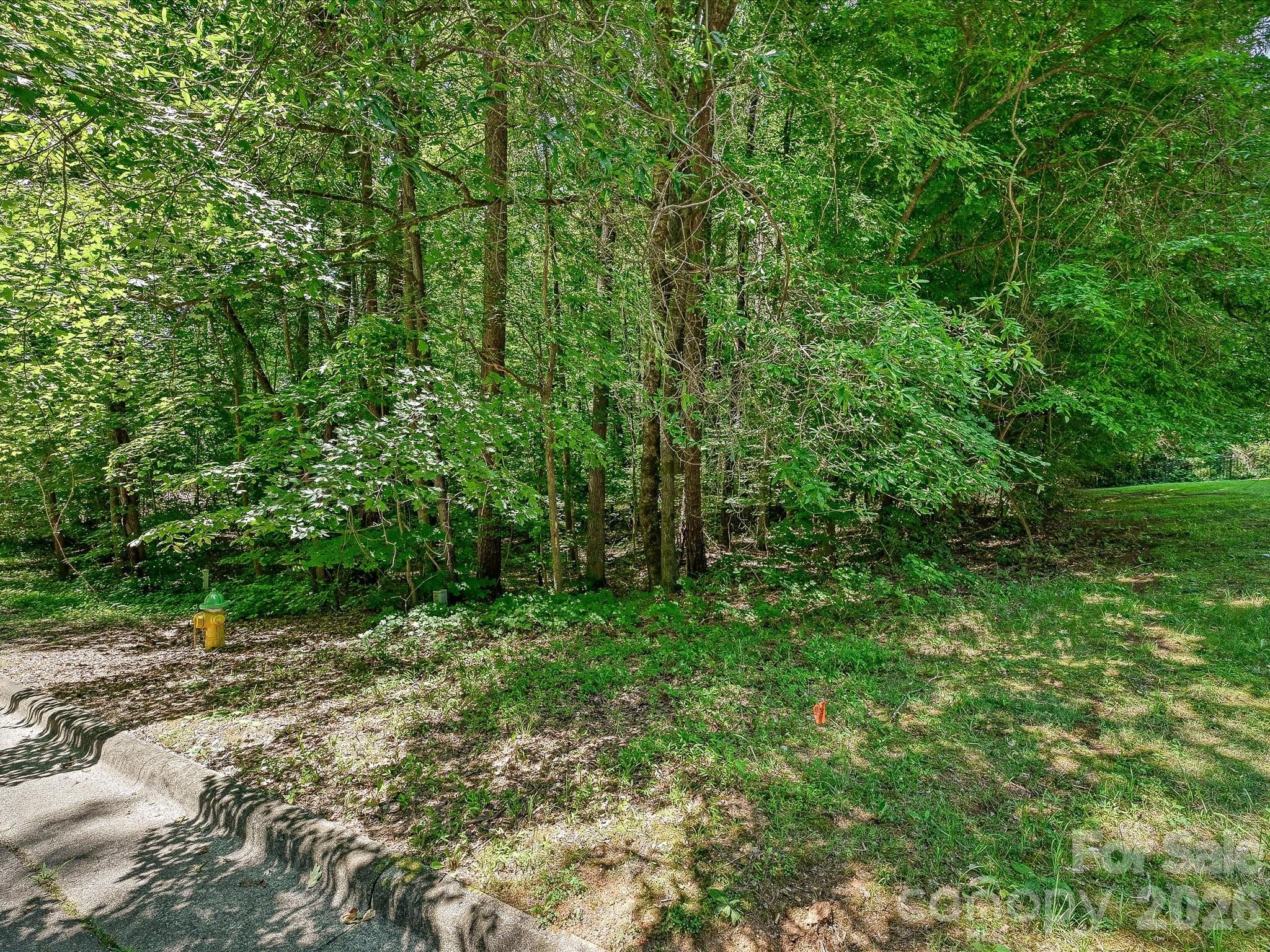 The Preserve at Cold Water Creek - Land