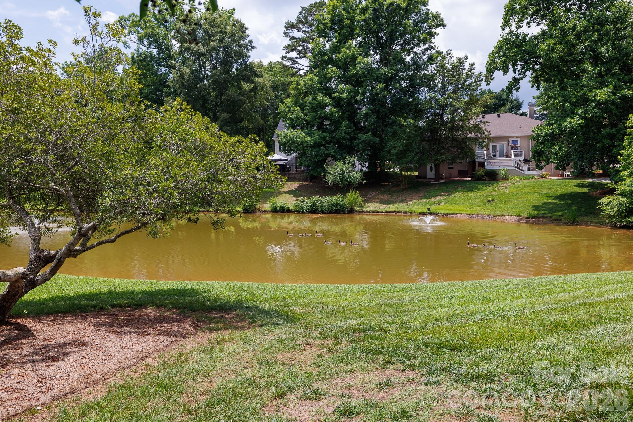 Royal Oaks - Residential
