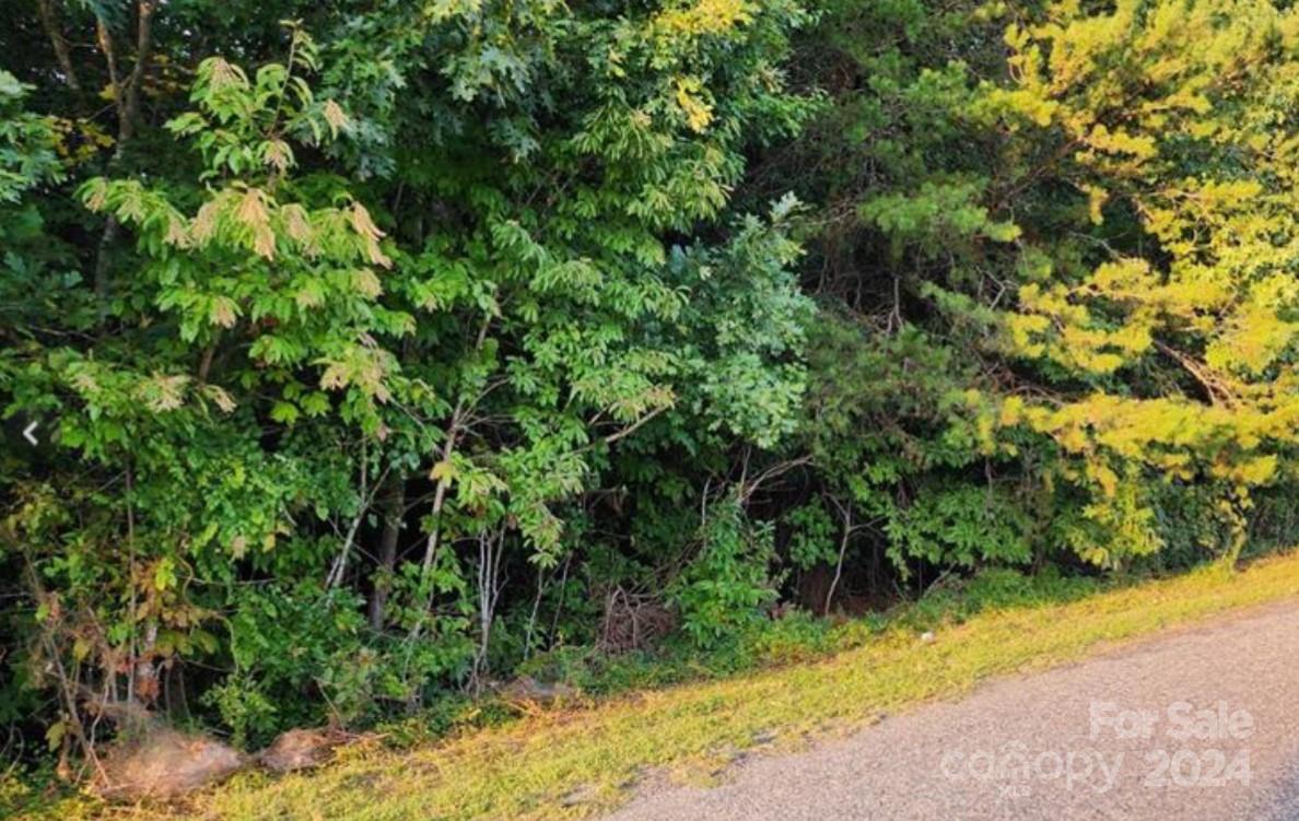 Over one acre waiting for you to build the hime of your choice! Manufactured homes allowed, double wides allowed. No single wides. Priced to sell. Bring an offer!
