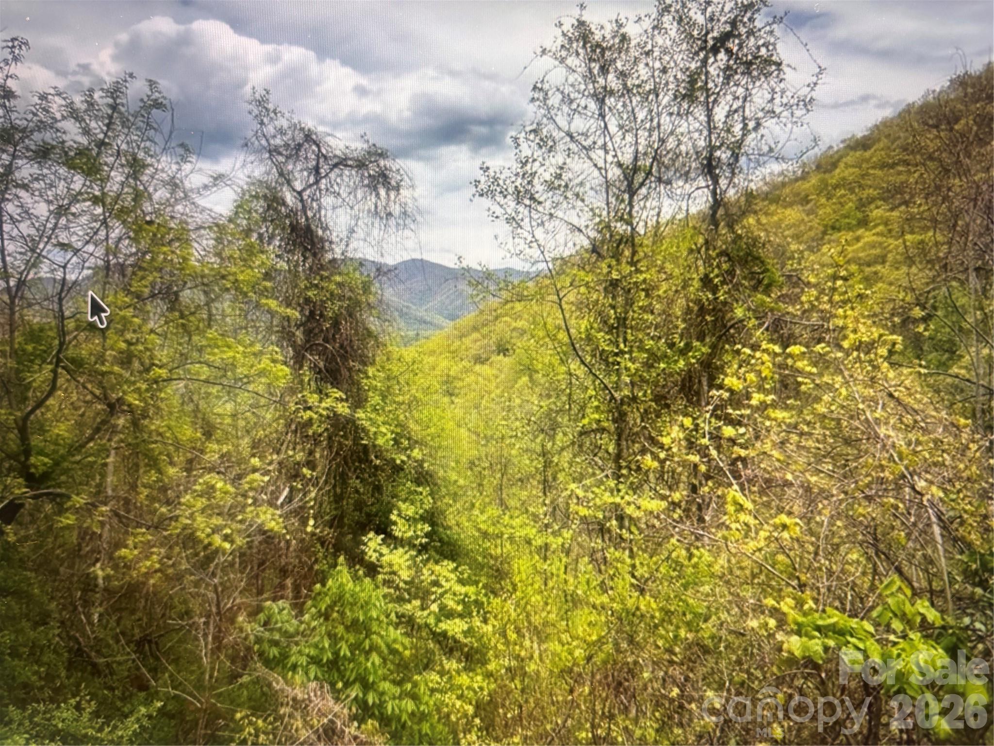 Cowee Mountain Properties - Land