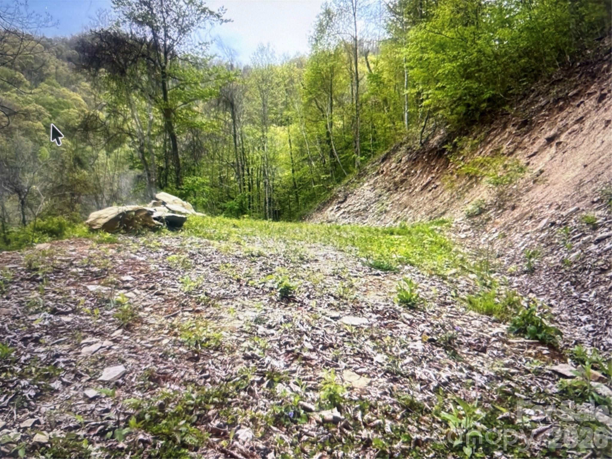 Cowee Mountain Properties - Land