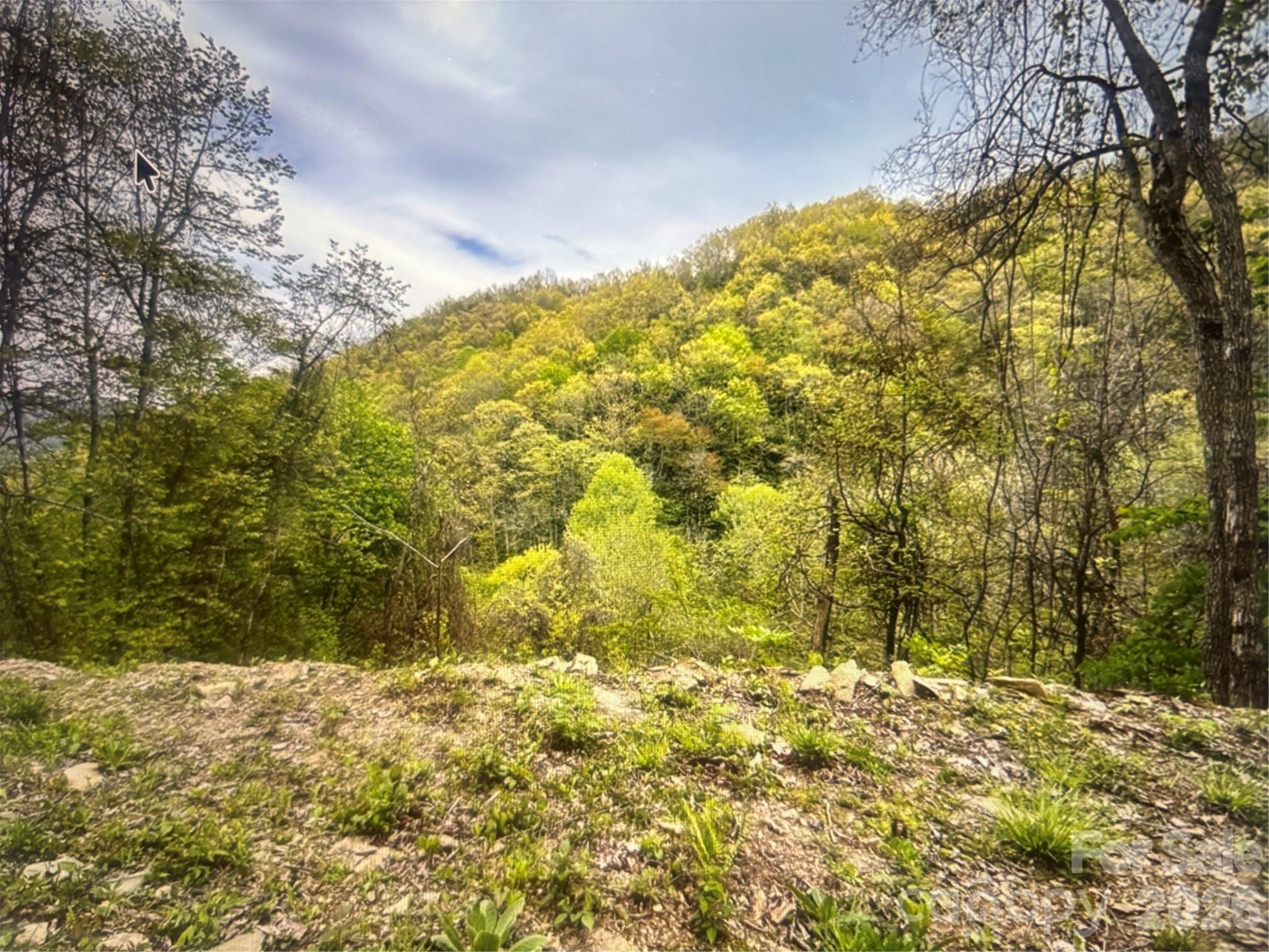 Cowee Mountain Properties - Land
