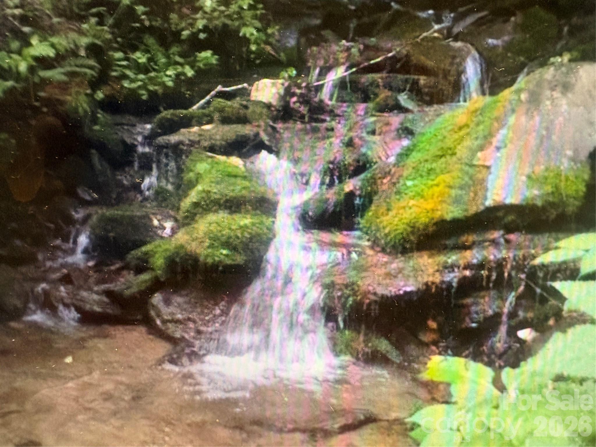 Cowee Mountain Properties - Land