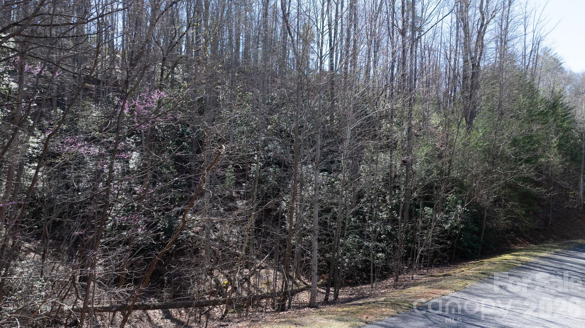 Build your dream home in the gated community of The Arbor at Lake James. This 1.76-acre wooded homesite offers a private setting with potential mountain views and access to community amenities including lake access, walking trails, picnic areas, and a community boat slip.

The lot features a sloped topography that may be suitable for a basement-style home, subject to buyer verification. Short-term rentals are permitted per community guidelines; buyer to confirm all restrictions and requirements.

Conveniently located near Lake James with access to I-40, Marion, and Morganton, this property offers a balance of privacy and accessibility.

HOA dues are reported by the seller to be approximately $990/year. Optional boat storage is reported to be approximately $185/year. Buyer to verify all HOA information, fees, restrictions, utilities, septic suitability, and building requirements. Address used for marketing purposes; official address has not been assigned.