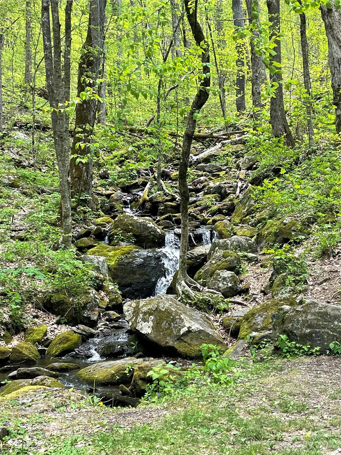 Ogle Meadows - Land