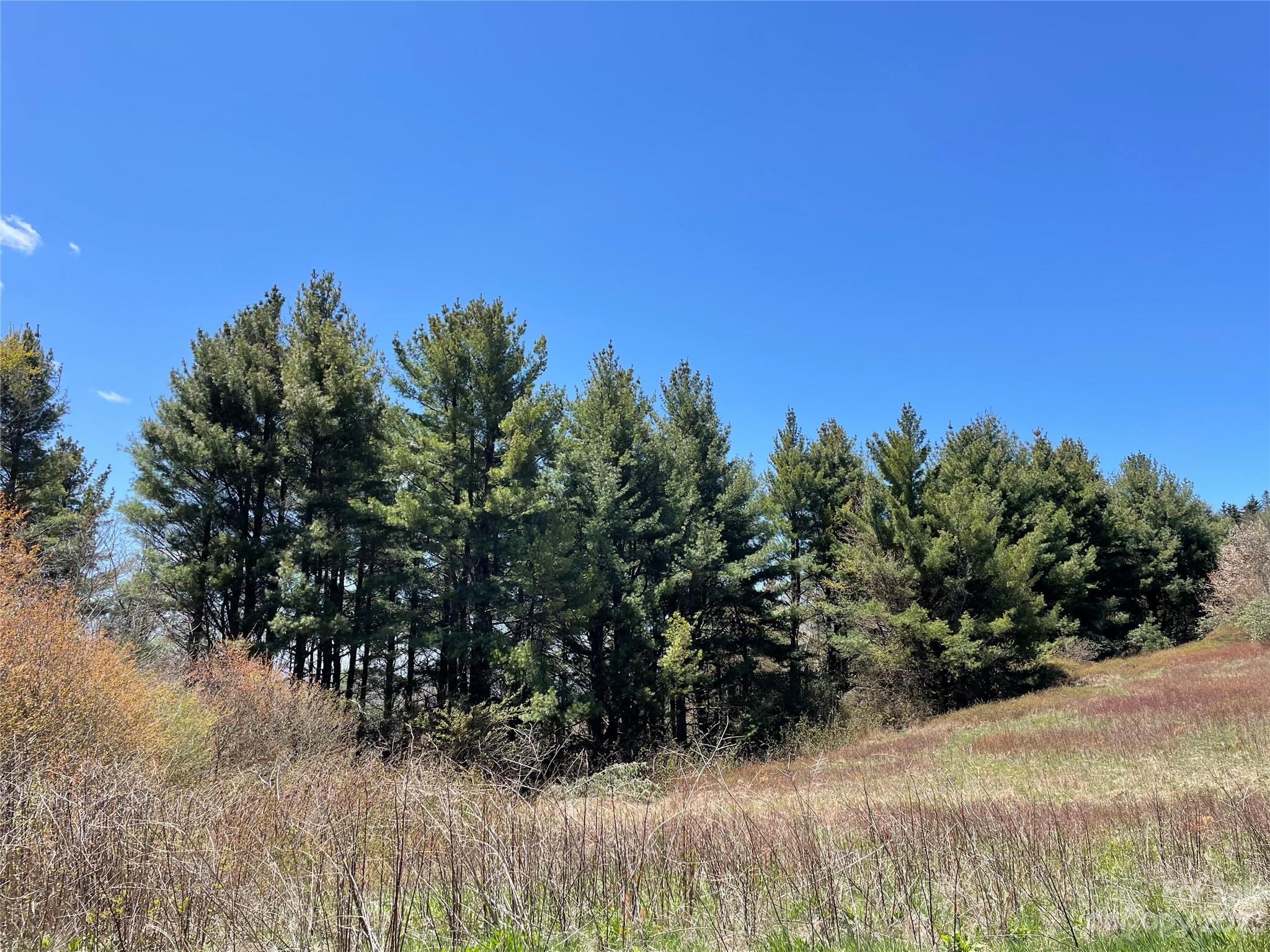 Ogle Meadows - Land