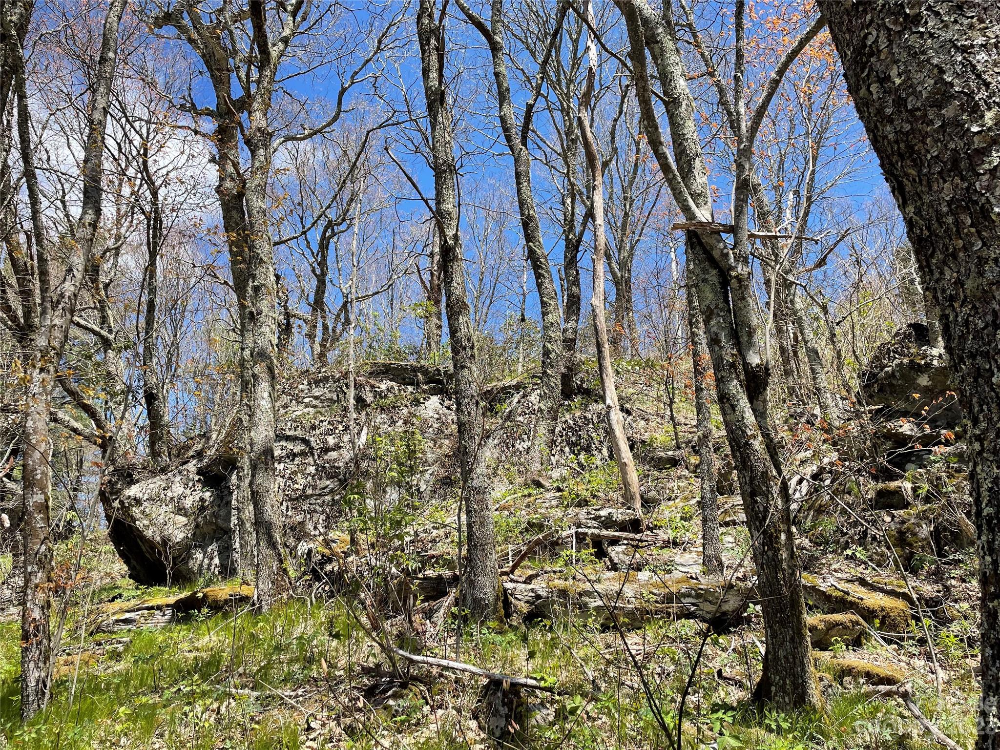 Ogle Meadows - Land