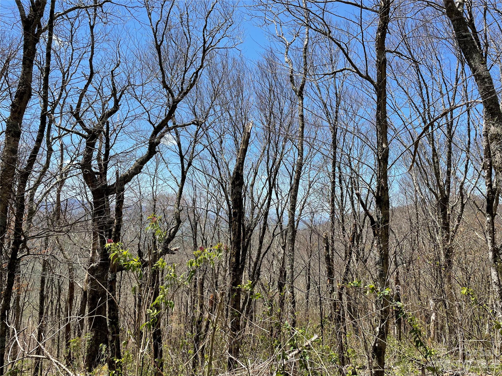 Ogle Meadows - Land