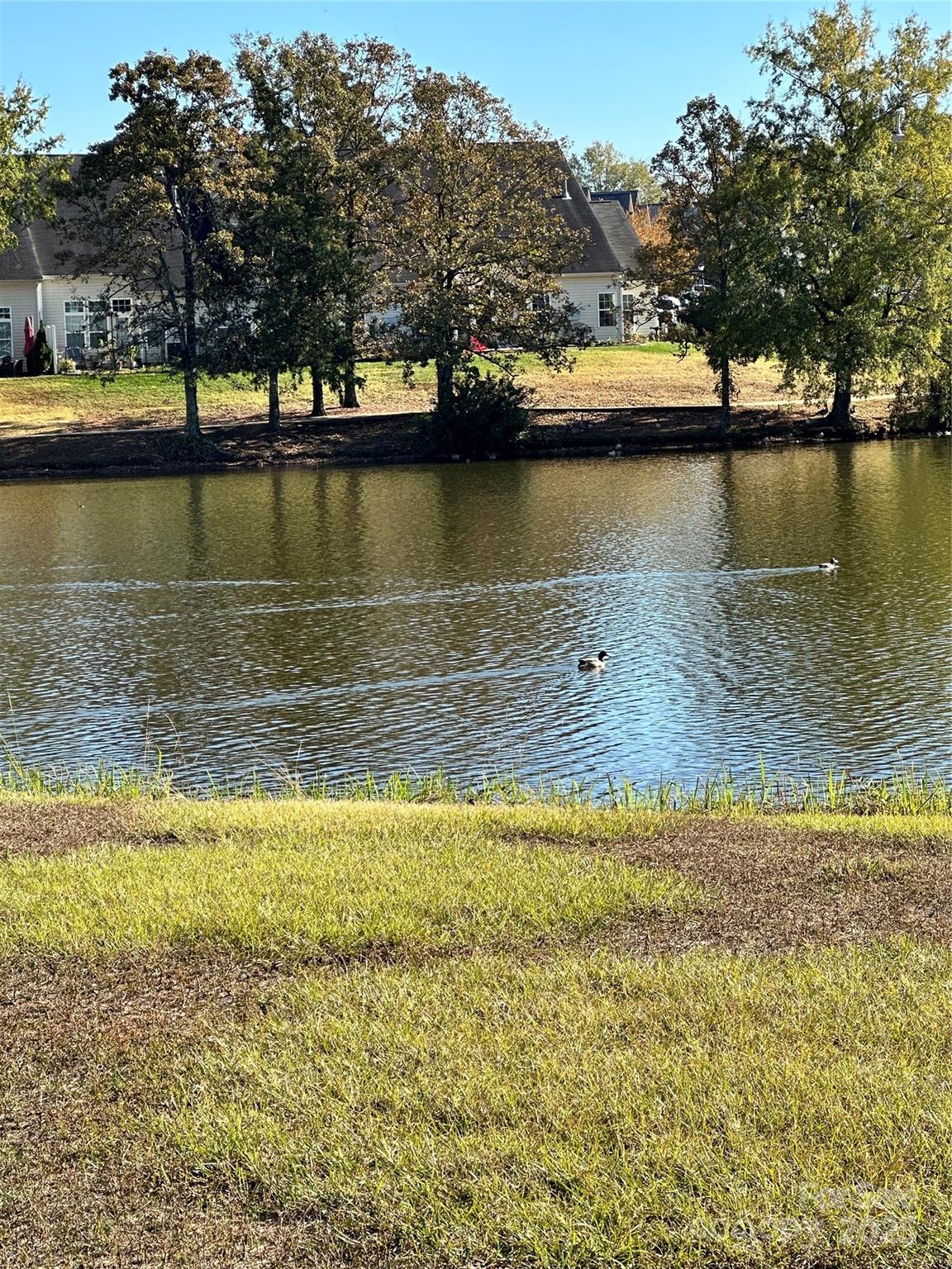 Summerlake - Residential