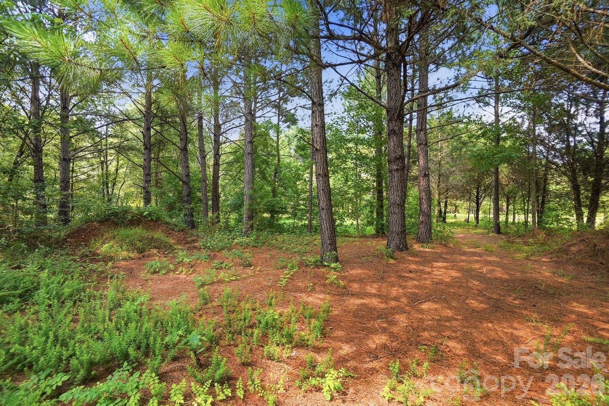 Mallard Lakes - Residential