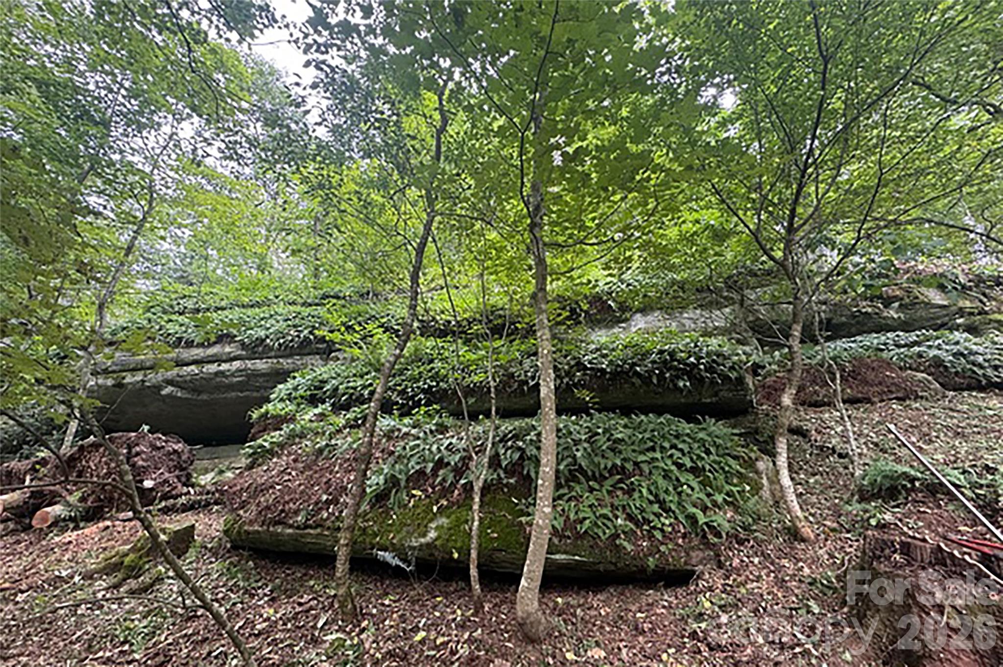 Couch Mountain - Land