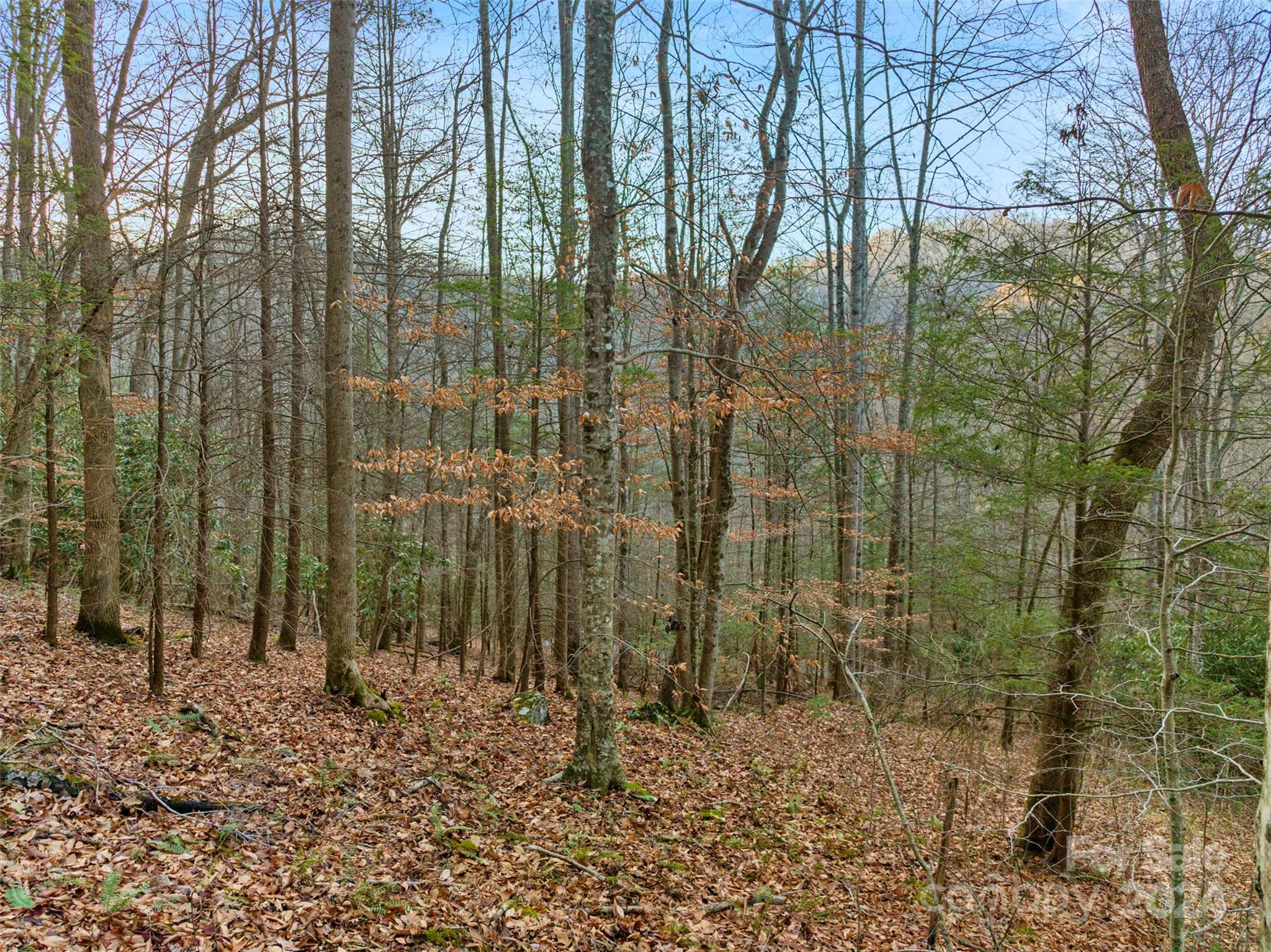 Mountain Park - Land