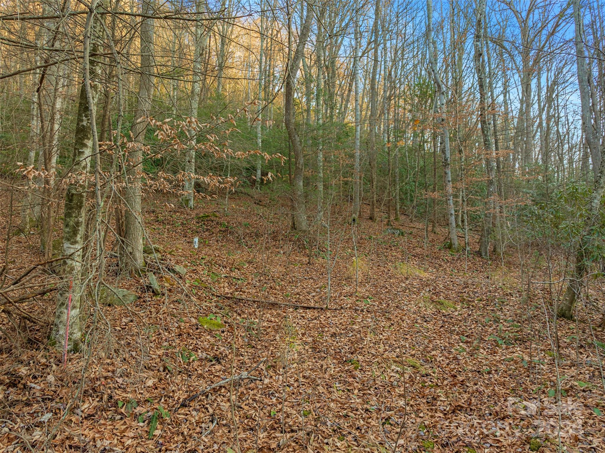 Mountain Park - Land