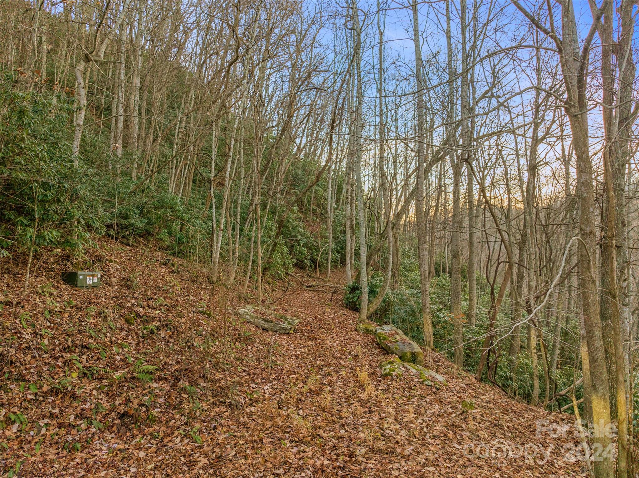 Mountain Park - Land