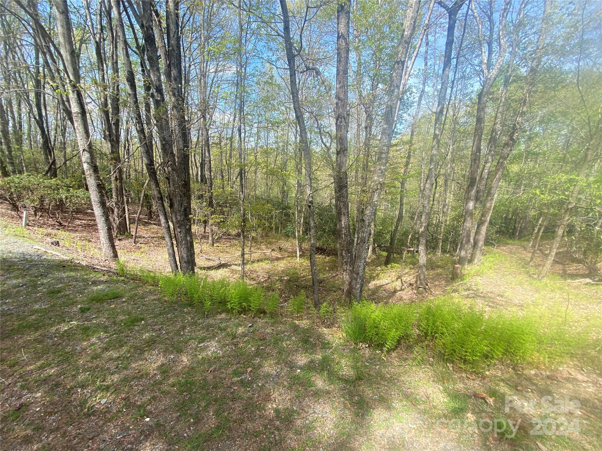 Connestee Falls - Land