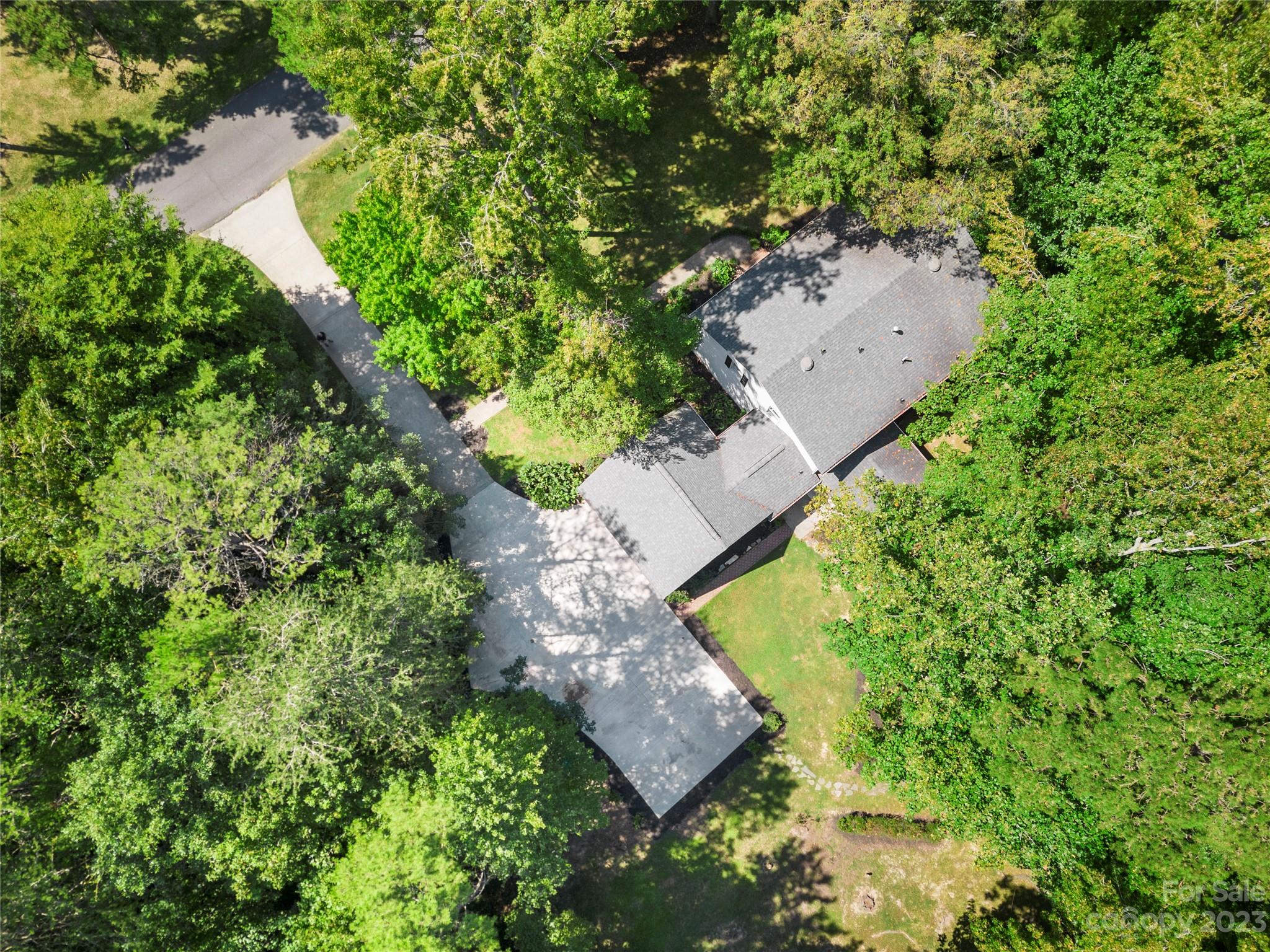 Wood Forest - Residential
