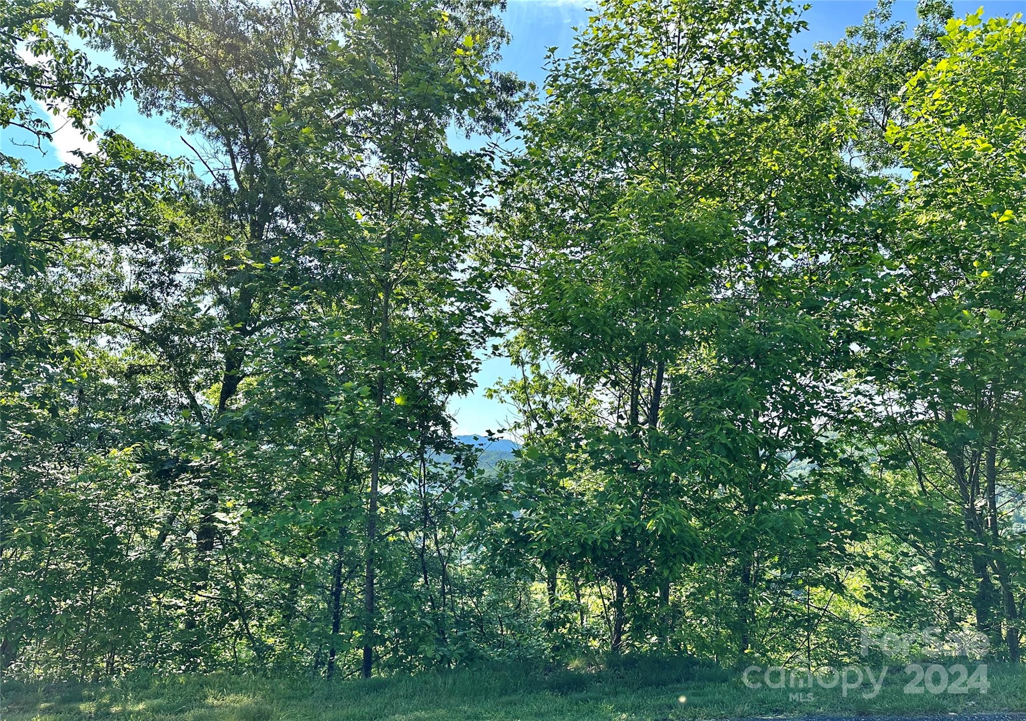 French Broad Crossing - Land