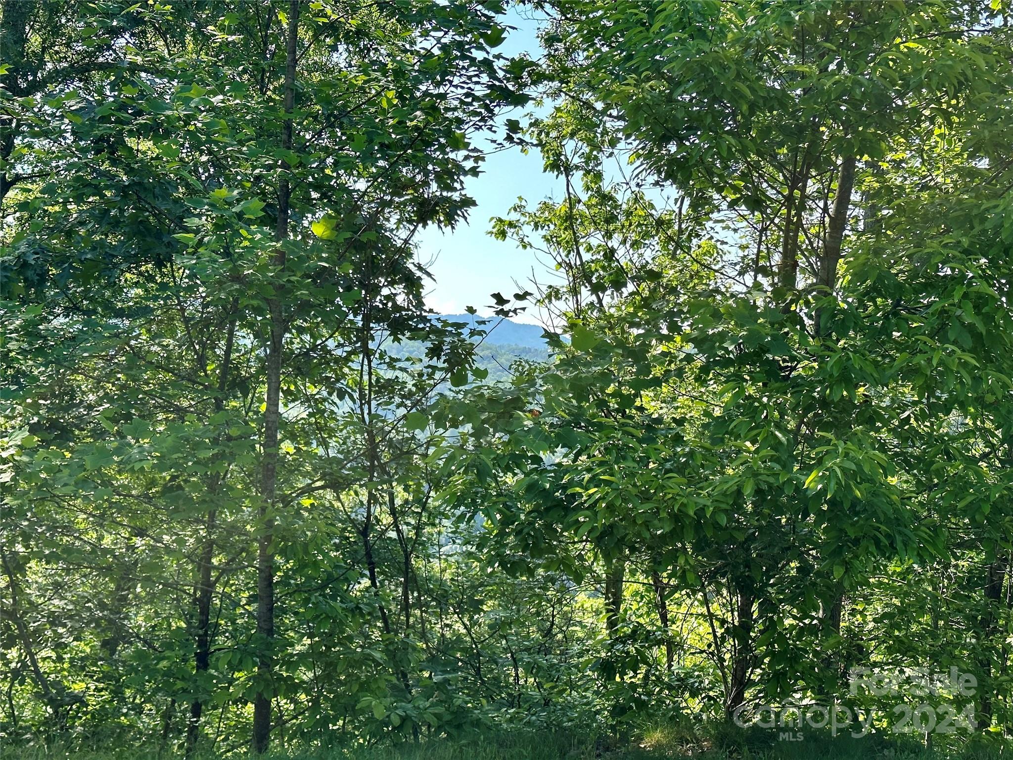 French Broad Crossing - Land