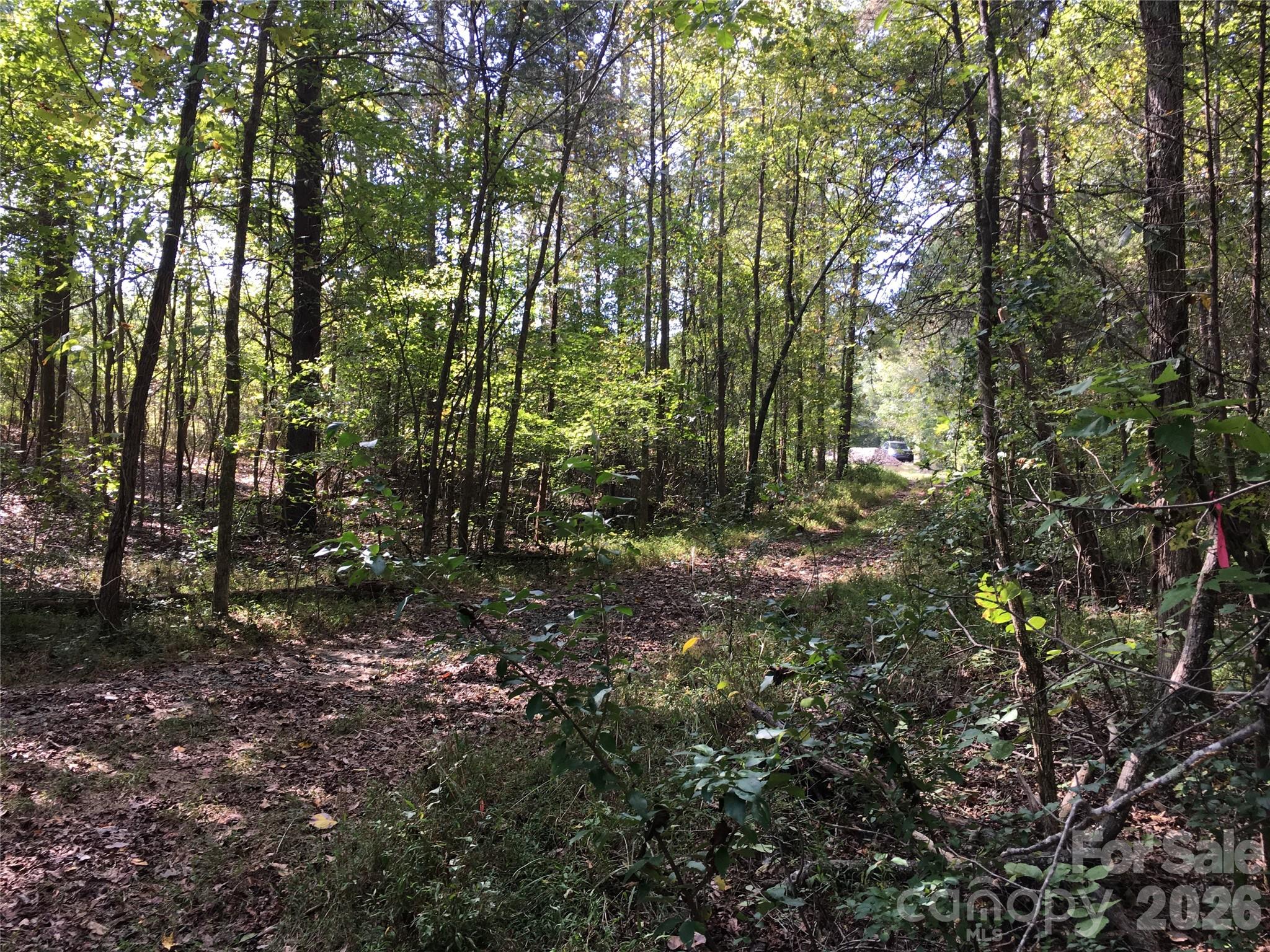 Hickory Acres - Land