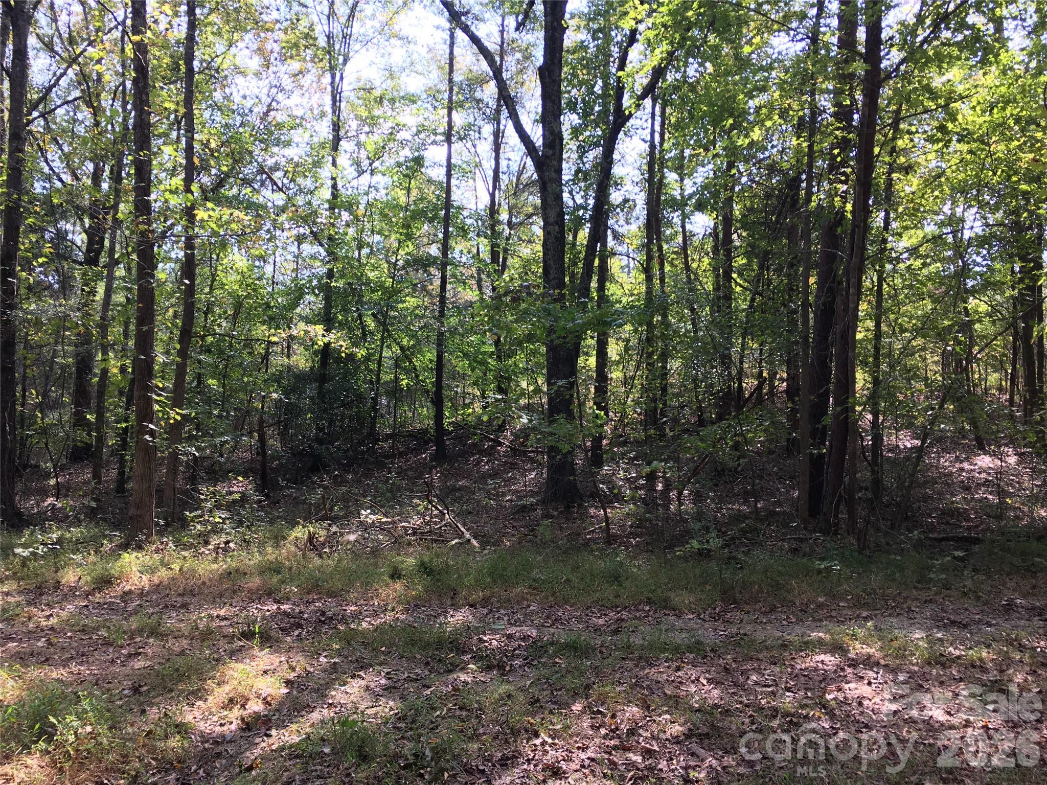 Hickory Acres - Land