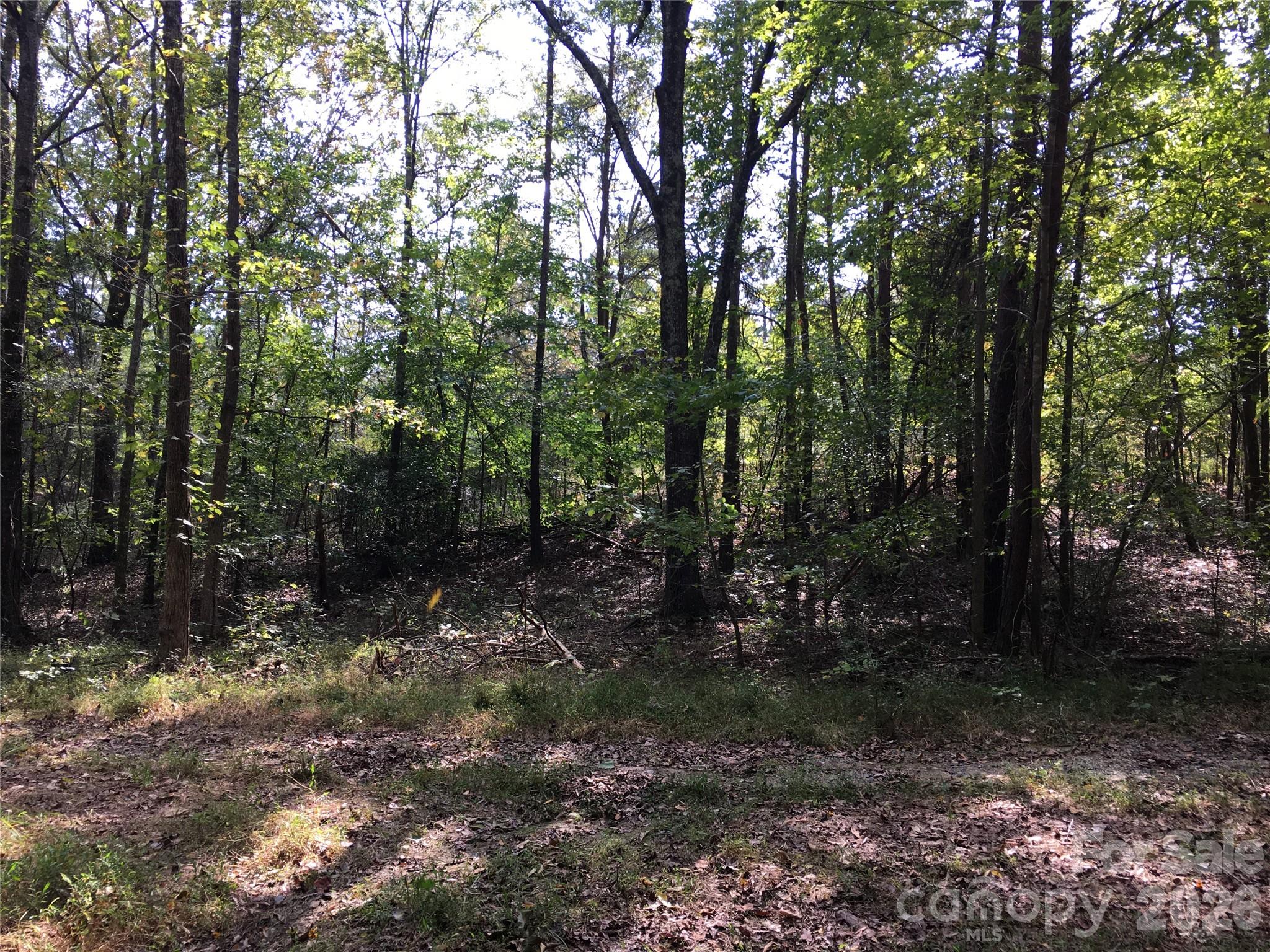 Hickory Acres - Land