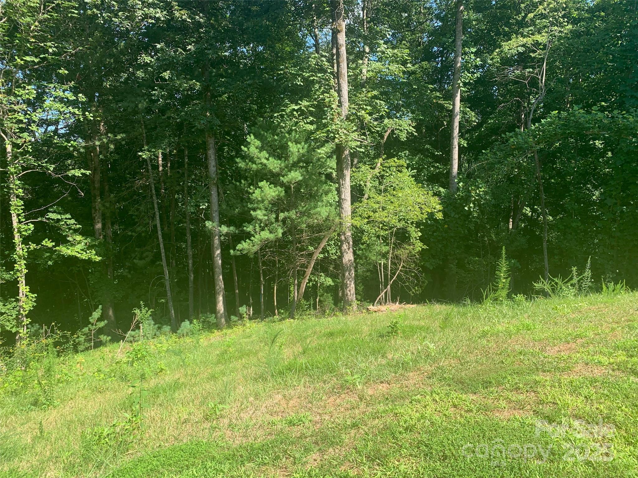 The Coves Mountain River Club - Land