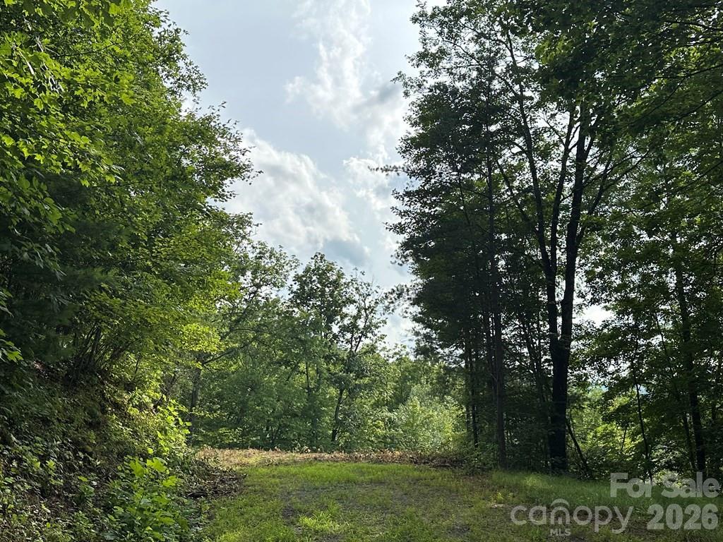 Fontana Lake Estates - Land
