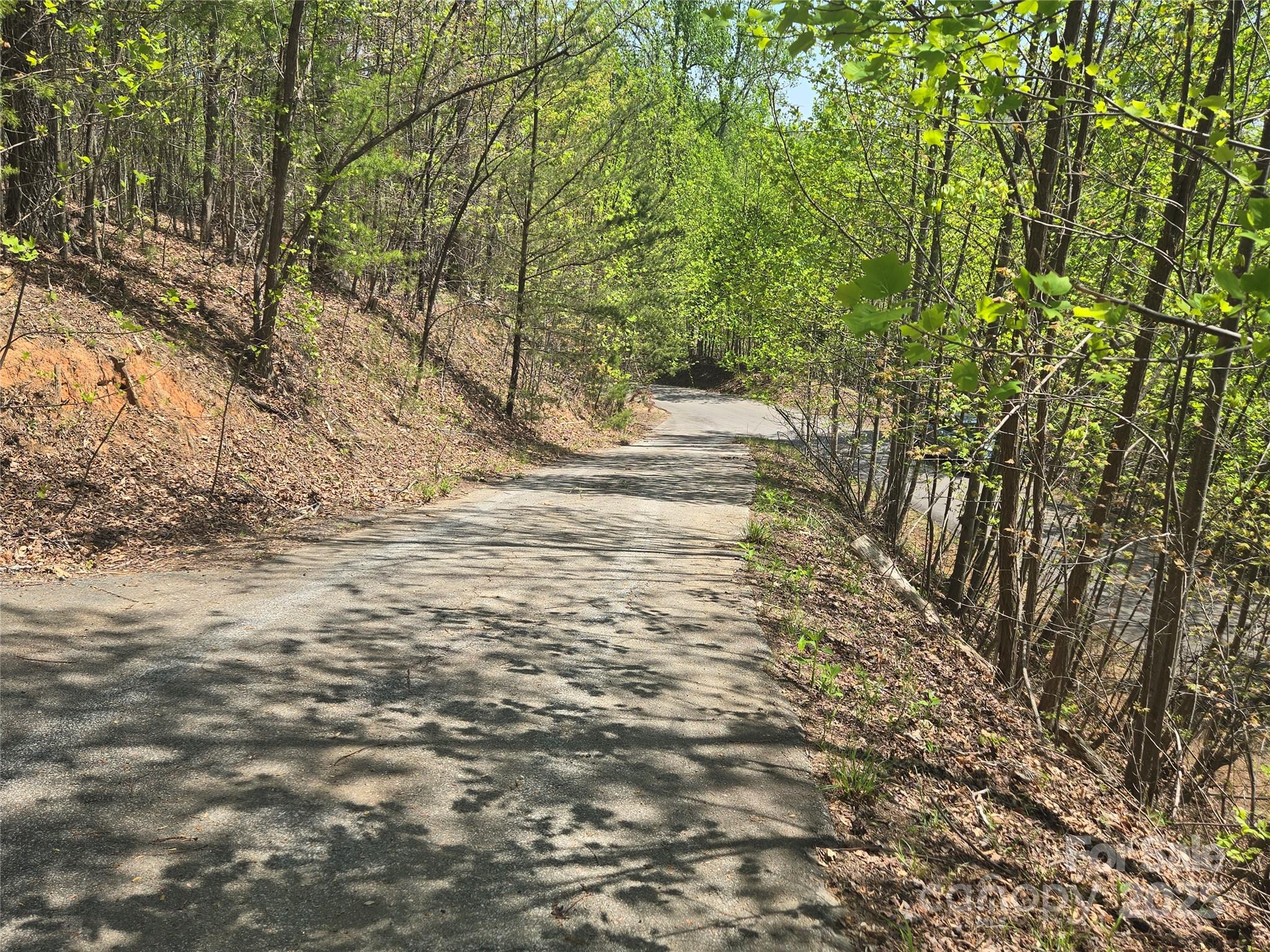 Rumbling Bald on Lake Lure - Land