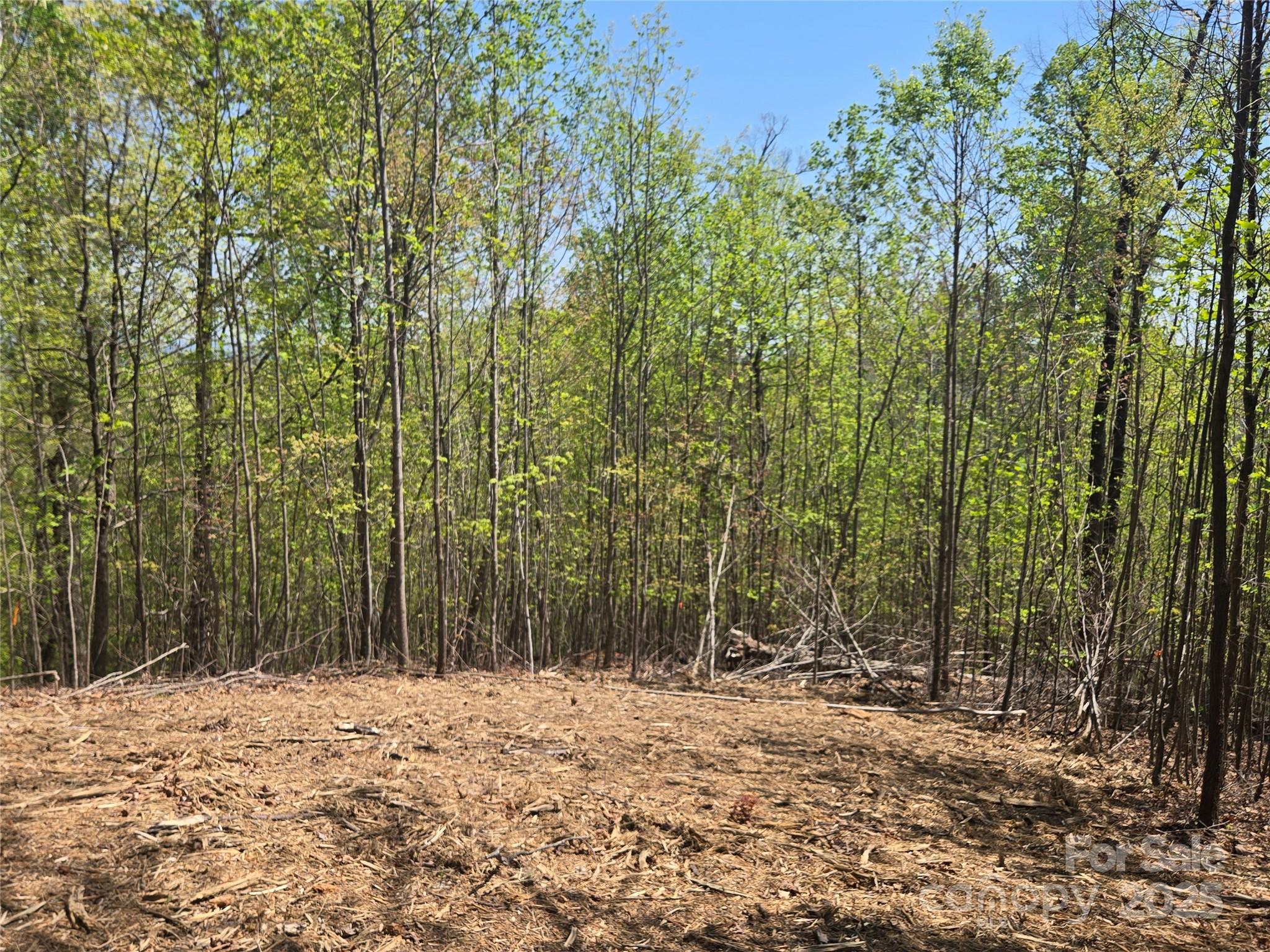 Knoll-top lot with great views possible.  Located in the Laurel Mountain Estates section of Rumbling Bald on Lake Lure, this lot has a driveway roughed in to the gently sloping building area.  This lot sits higher than most lots in the area and offers great privacy. Underground utilities including Community Water, Power, and High-Speed Fiber Optic Internet. There are plans to add an attractive security gate to this neighborhood sometime in the future for additional privacy.  Land for a community park is in the planning stages as well. The community cart path passes through this neighborhood and provides access to the main gate via connecting paths. An amazing opportunity for anyone looking for a unique and private building site while also enjoying all the amenities Rumbling Bald has to offer including two Championship Golf Courses, three pools, Wellness Center, Spa and Salon, Beach, and much, much, more.