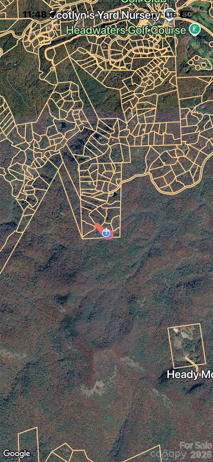 Found Forest - Land