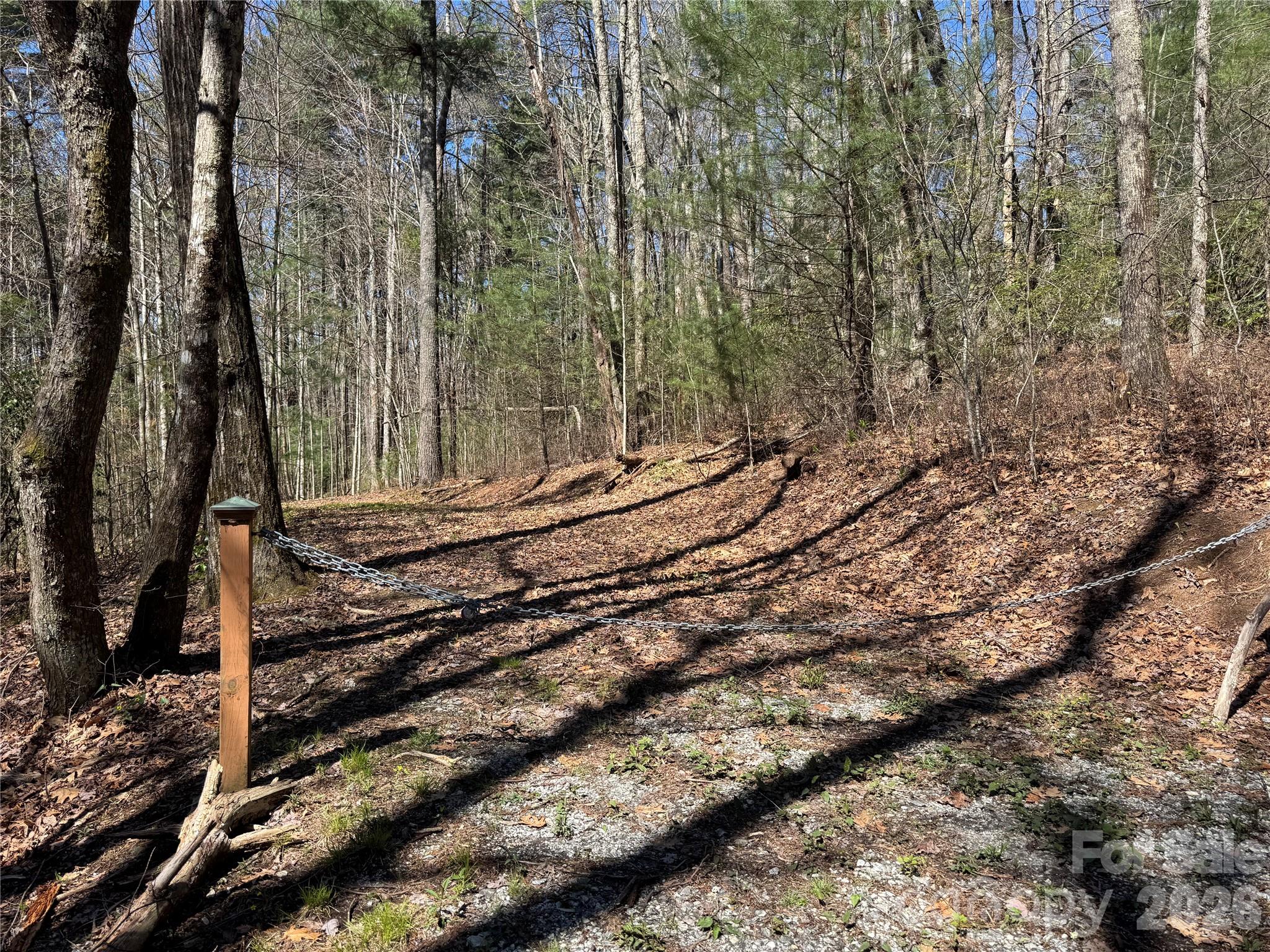 Found Forest - Land