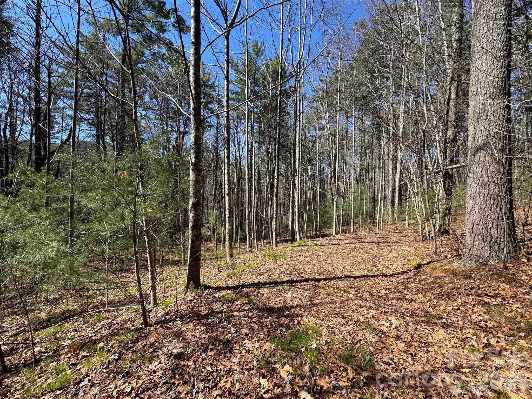 Found Forest - Land