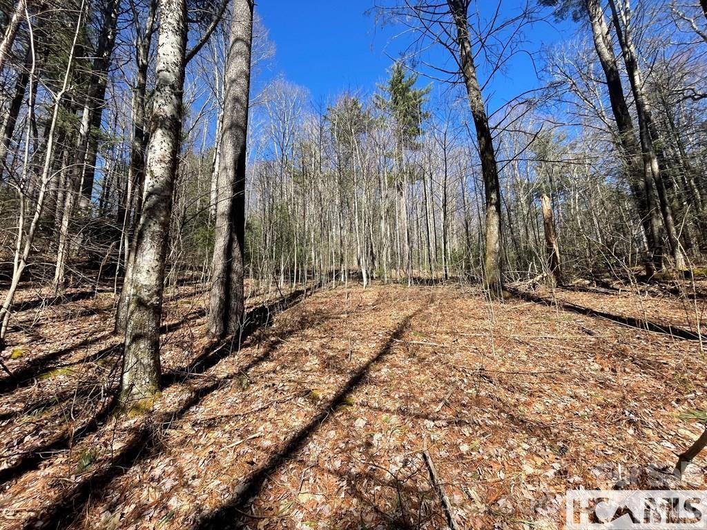 Found Forest - Land