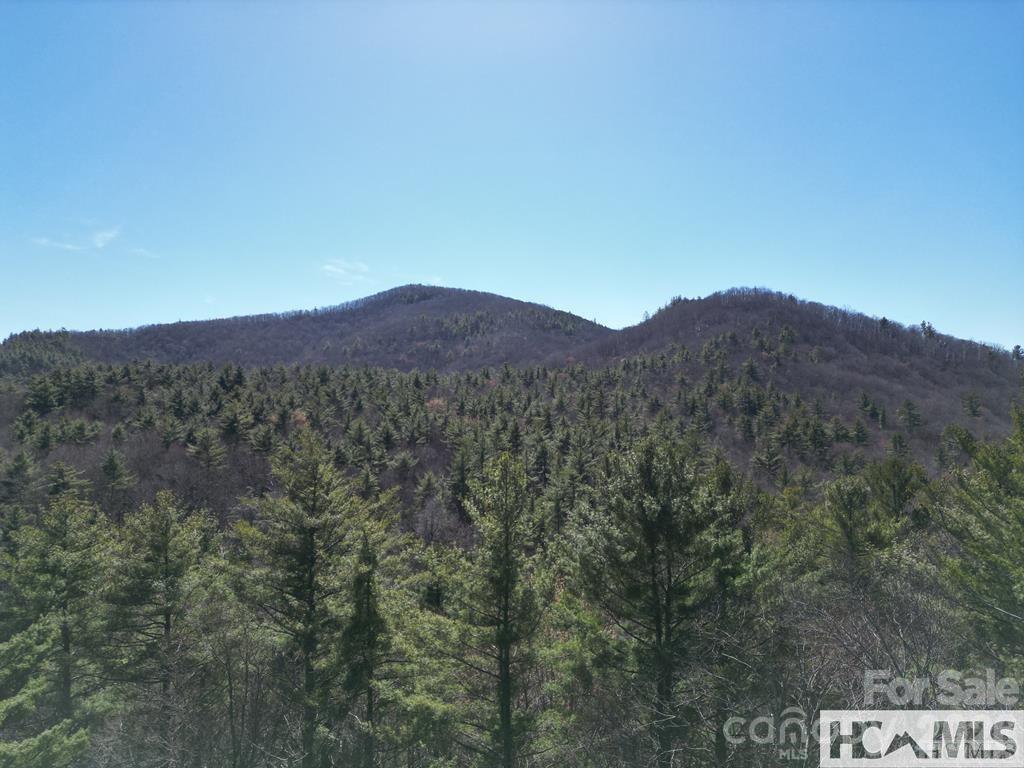 Found Forest - Land