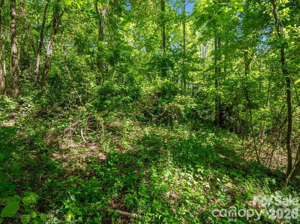 Greater Druid Hills - Land