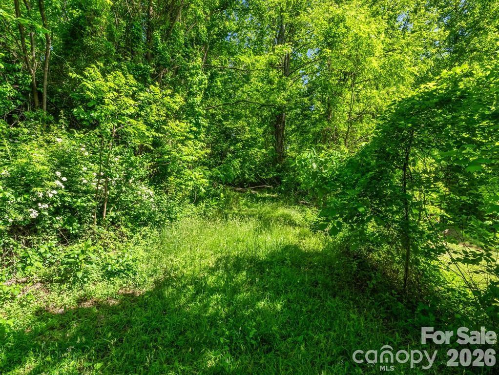 Greater Druid Hills - Land