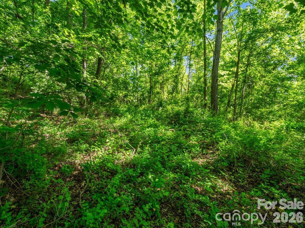 Greater Druid Hills - Land