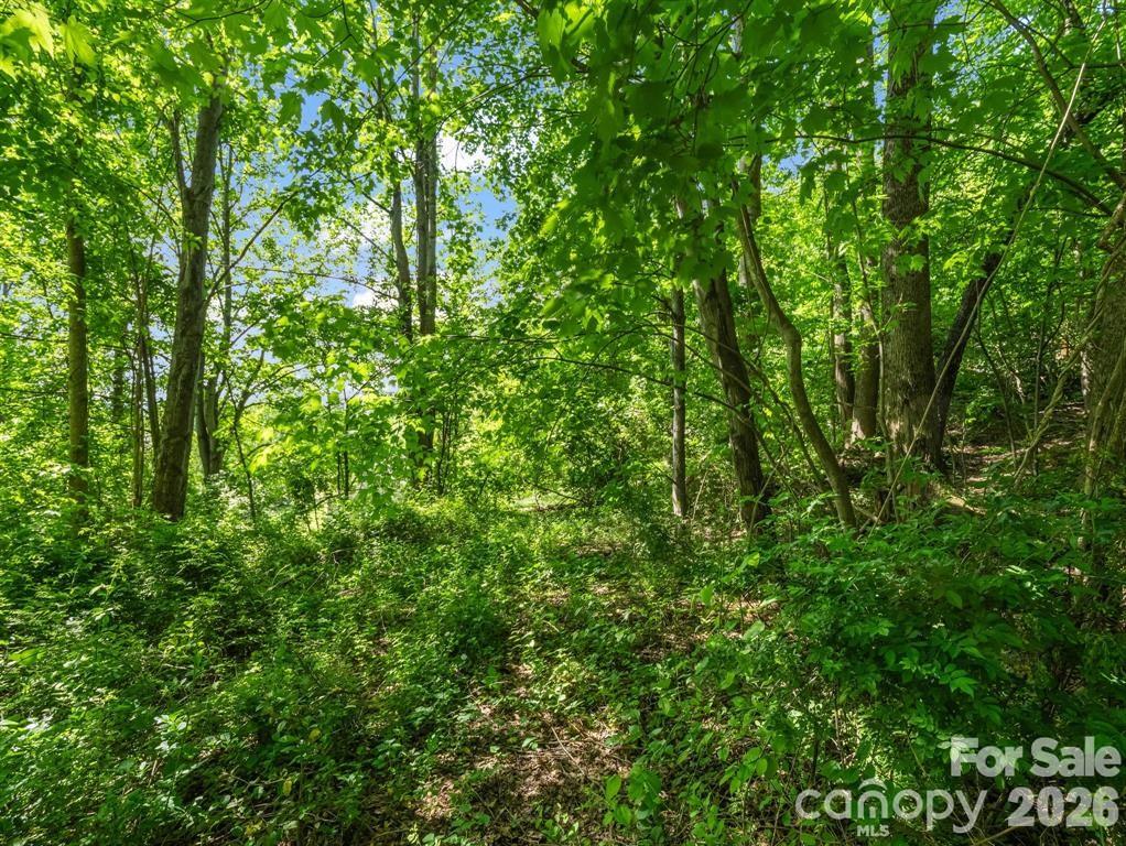 Greater Druid Hills - Land