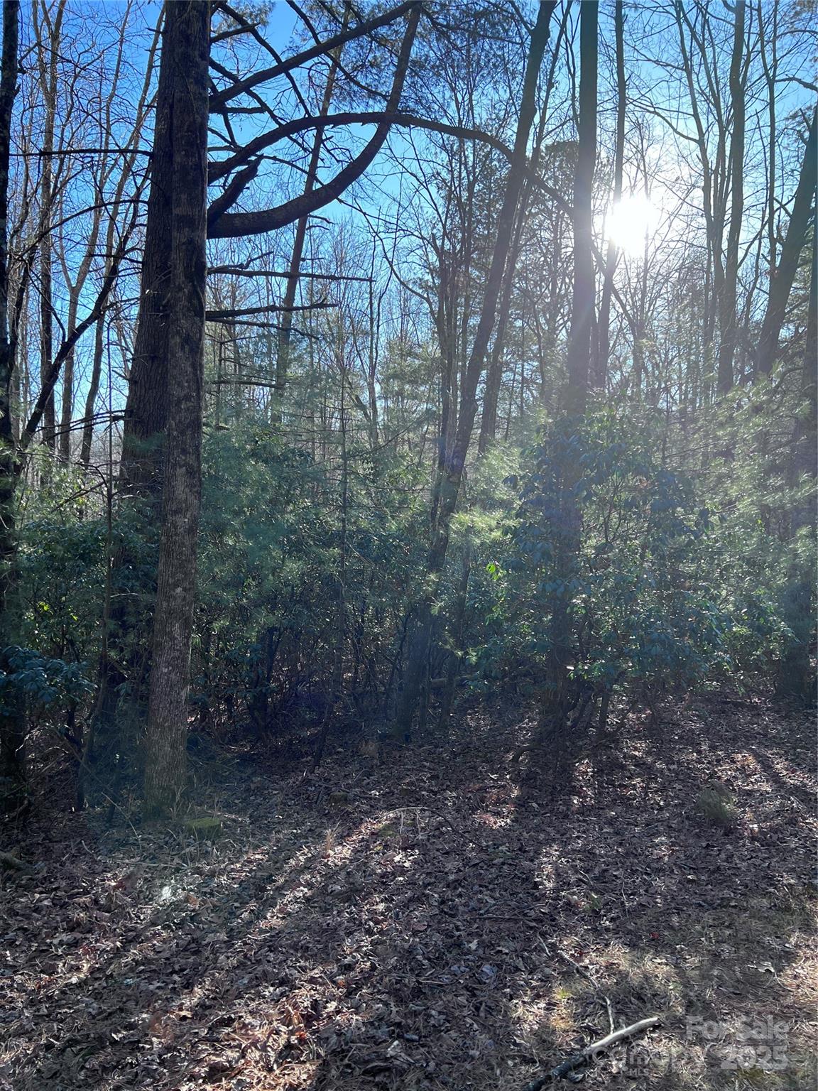 Connestee Falls - Land