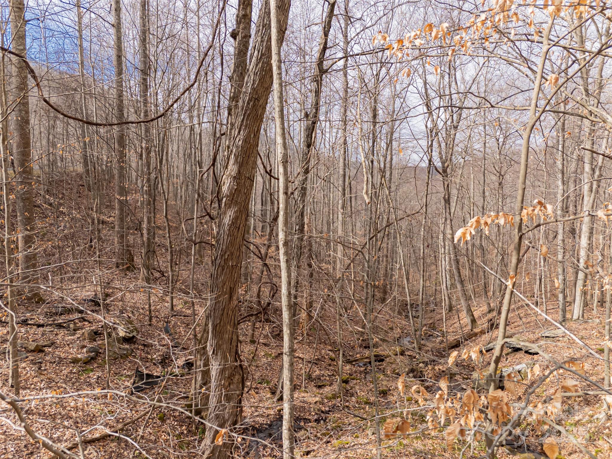 Avery Park - Land