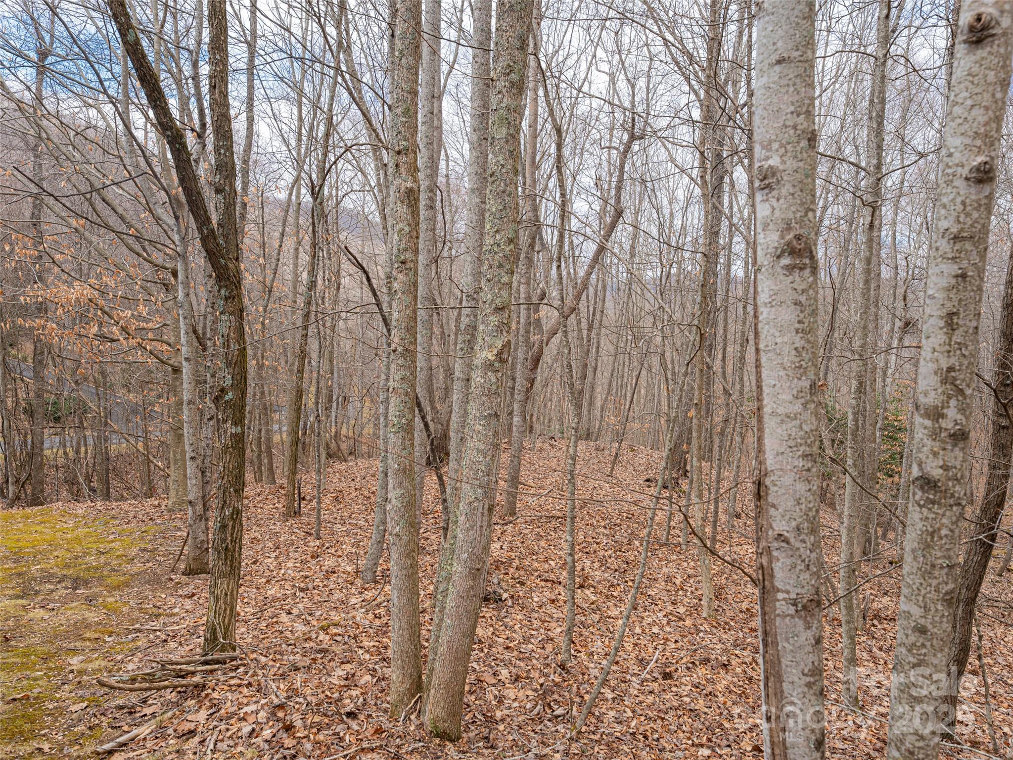 Avery Park - Land