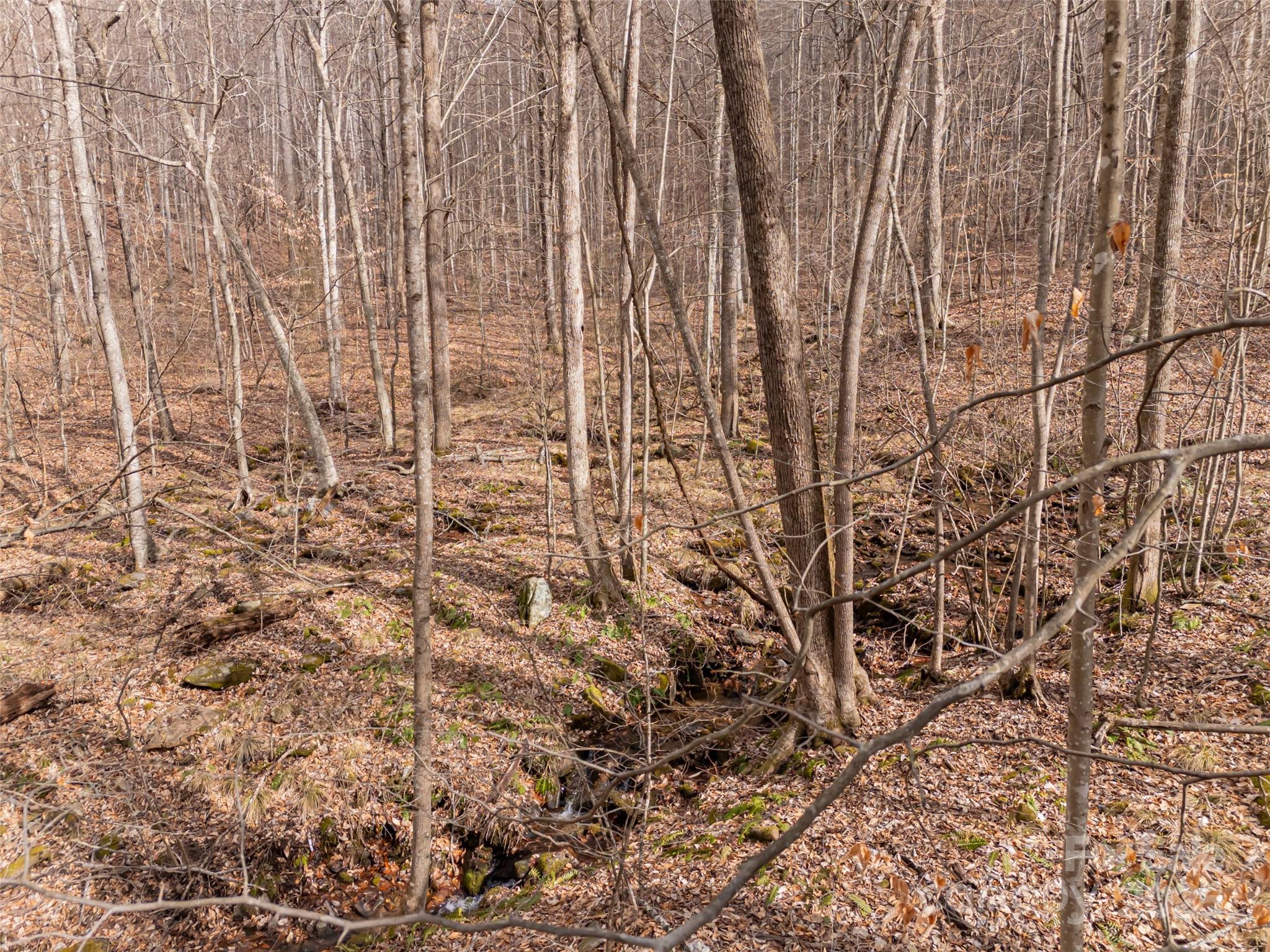 Avery Park - Land