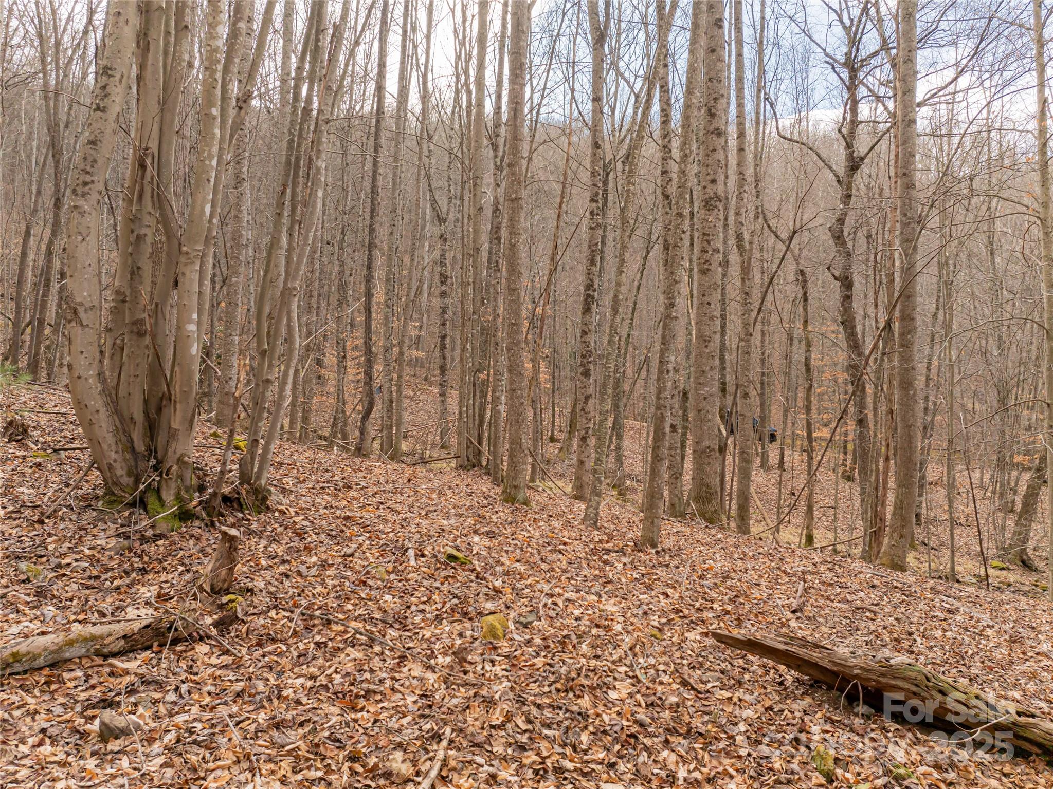 Avery Park - Land