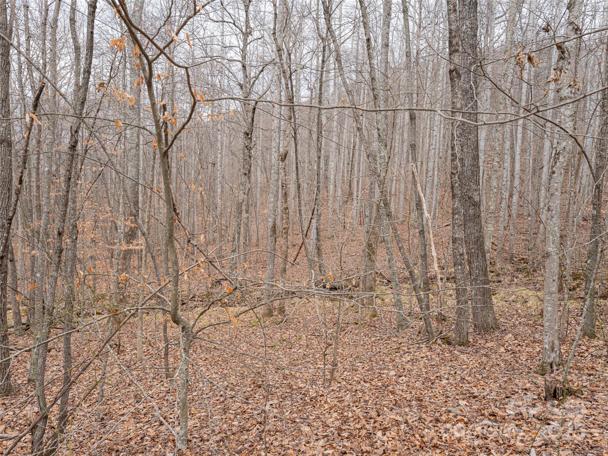 Avery Park - Land